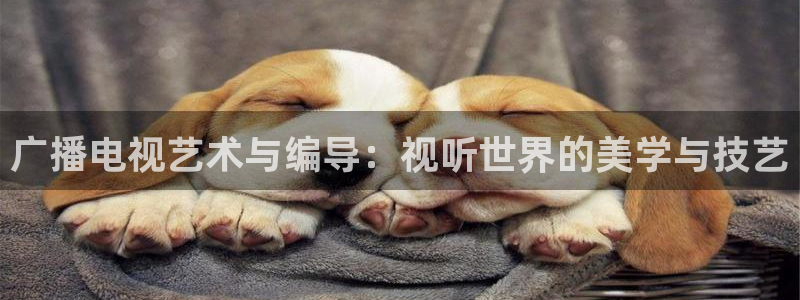 国产欧美一区二区青丝影院