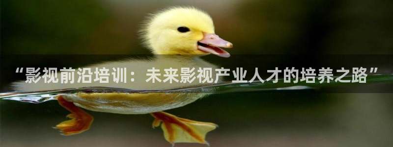 青丝影院免费观看电视剧高清全集