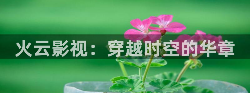 青丝影院电视剧播放量怎么样