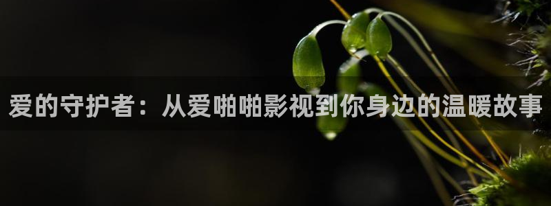 青丝影院免费观看