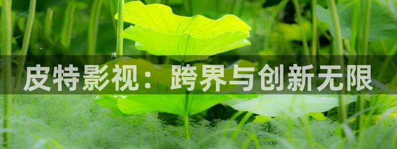 青丝影院免费观看电视剧高清